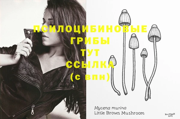 MESCALINE Гусь-Хрустальный