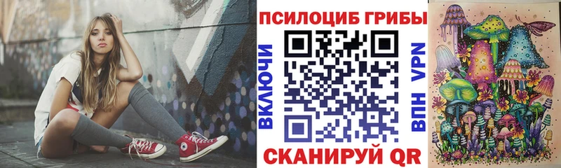 Галлюциногенные грибы Psilocybine cubensis  Дигора 